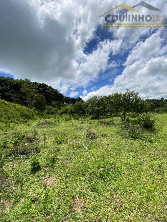 WhatsApp Image 2026-01-15 at 13.59.54 (10).jpeg